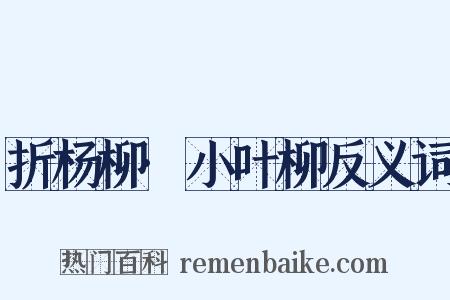 折杨柳·小叶柳反义词是什么意思的图片